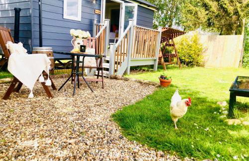 Whiskers and Woods Shepherd Hut - Foto 5