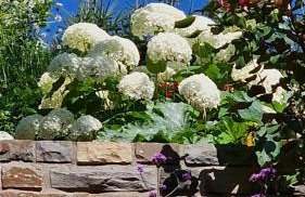 Ferienwohnung Lavendel - Foto 11