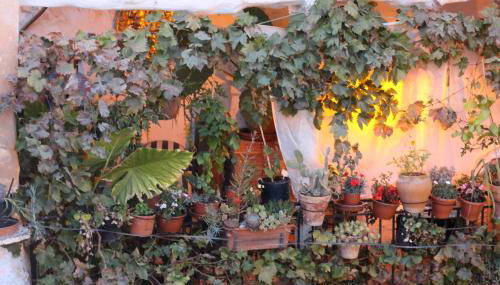 Casa Violeta - Foto 2