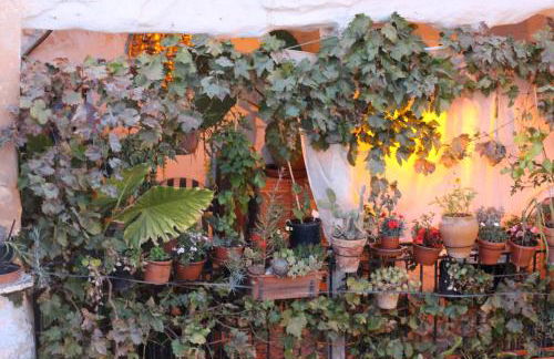 Casa Violeta - Foto 2