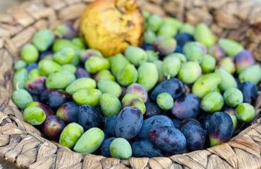 Villa Faros Vourkari Kea with private pool and stunning views - Foto 23