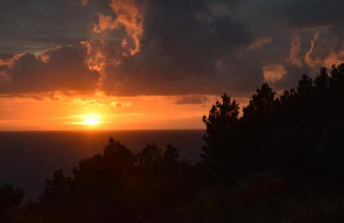 Holiday Home Babič - Foto 17