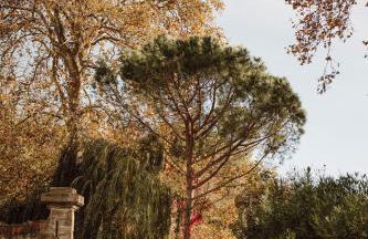 Gîte Superbe L'Ecurie XIXème - Foto 30