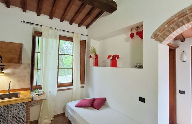 Serraiola Alta - Foto 17