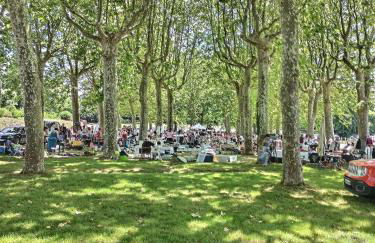 Les Gîtes de L'Isle Jourdain - Photo 70