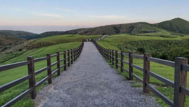 Excursión a Beitou y Yangmingshan - Foto 3, Disfrutando de un agradable paseo