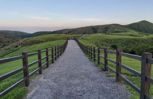 Excursión a Beitou y Yangmingshan - Foto 3