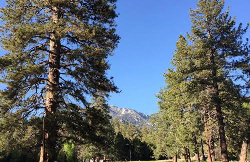 Ahwahnee-be Vintage Cabin - Walk to town! - Foto 16