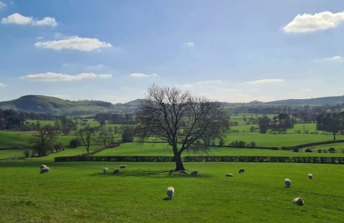 Dove View Hartington: luxury 3 bed cottage - Foto 19