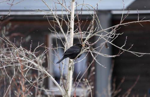 Ferienhaus Caputh - Foto 40