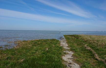 Ferienhaus Möwe - Foto 23