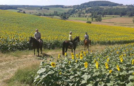 ferme équestre des abrons - Foto 22