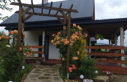 Domki w Bieszczadzkiej Dolinie - Foto 17