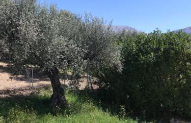 Villa Zahar - Foto 67