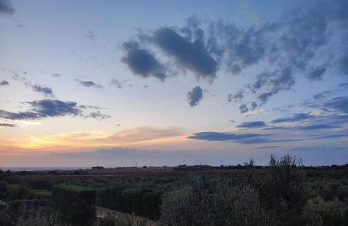 Casa Zaffiro - Sant' Isidoro - Porto selvaggio - Porto cesareo - Foto 43