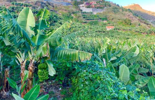 VILLA FELICIDADE - Foto 47