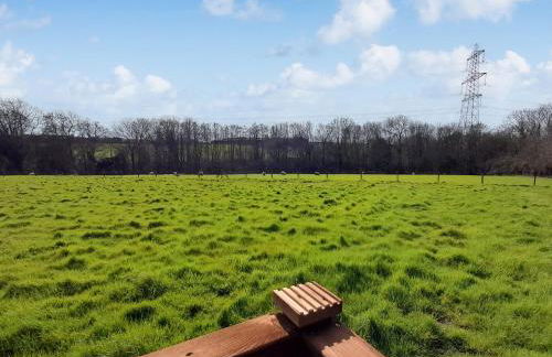 Badgers - Uk46750 - Foto 18