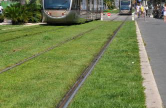 Charmant studio tout proche du port - Photo 22