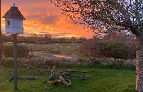 The Shepherd's Hut with cozy logburner - Foto 74