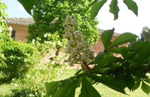 Villa Poggio al Sole Bio Agriturismo private pool - Foto 51