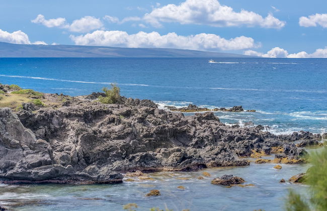 Kapalua Bay Villas 36g5 - Photo 43