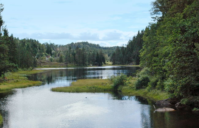 Øygårdsheia - Foto 5