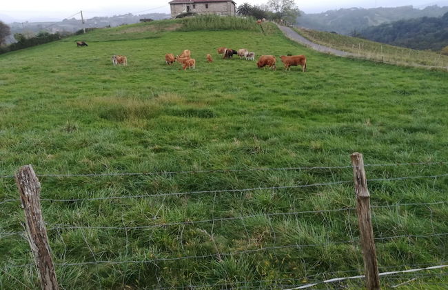 Casa Rural Aristondo - Photo 40