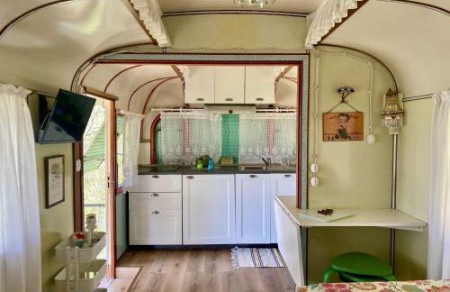 Azienda agricola Della Mezzaluna - Foto 23