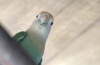 Casa espaçosa famíliar - Foto 23