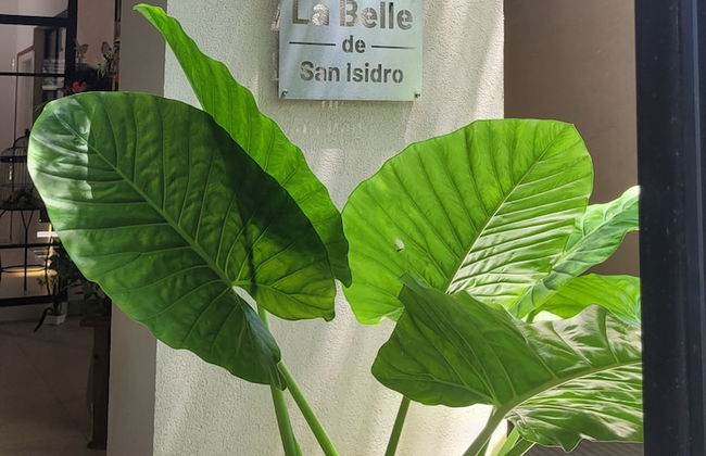 La Belle San Isidro Lofts - Foto 32