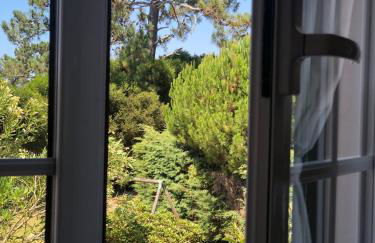 Casa da Oliveira - Foto 4