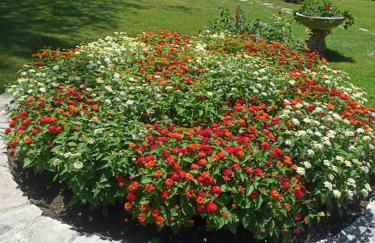 Sani Villa Maria - Foto 15