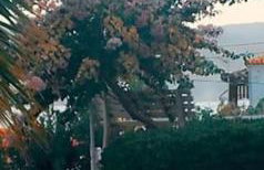 Patras Apartments Marilia and Konstantinos - Foto 27