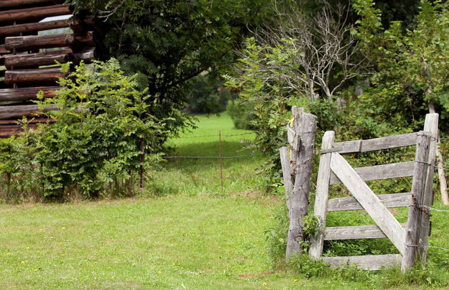 Apartment Near Zell am See-kaprun - Foto 19