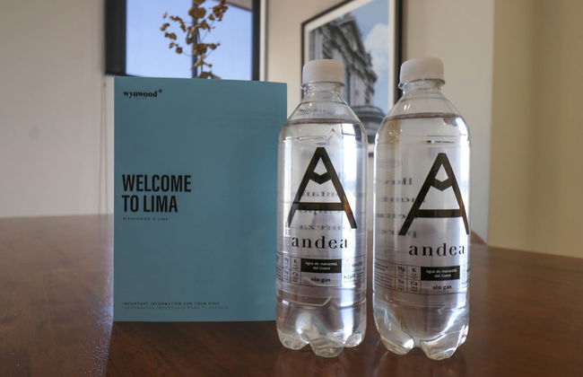 w Artistic 2BR With Balcony in Miraflores - Photo 29