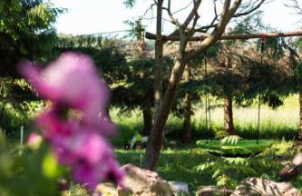 W Sercu Mazur - Foto 41