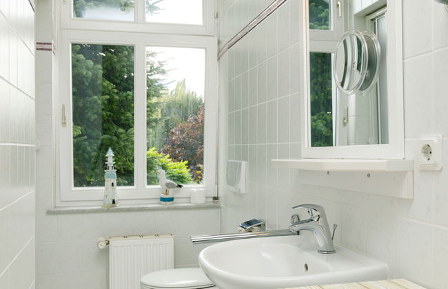 Sonnenblume - Foto 19