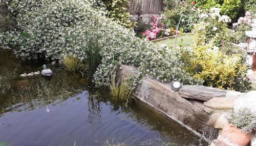 Flower house - Foto 5