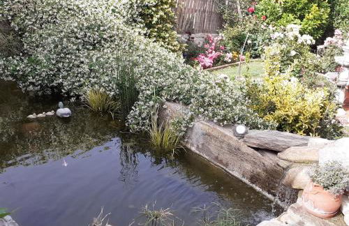 Flower house - Foto 5