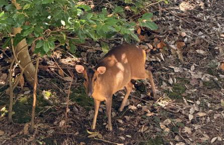 Cromer Getaway luxury apartment - Foto 22