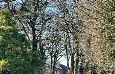 FeWo am Tillysee in Wardenburg - Foto 38