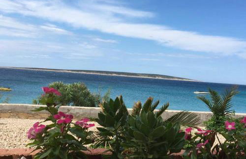 Apartmani Filip - Photo 11