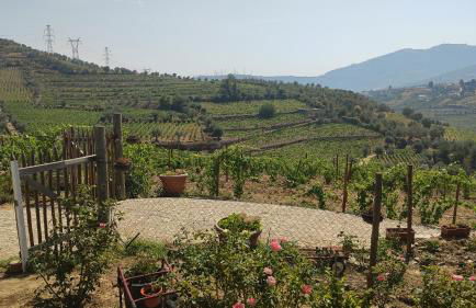 Quinta dos Padrinhos - Suites in the Heart of the Douro - Foto 68