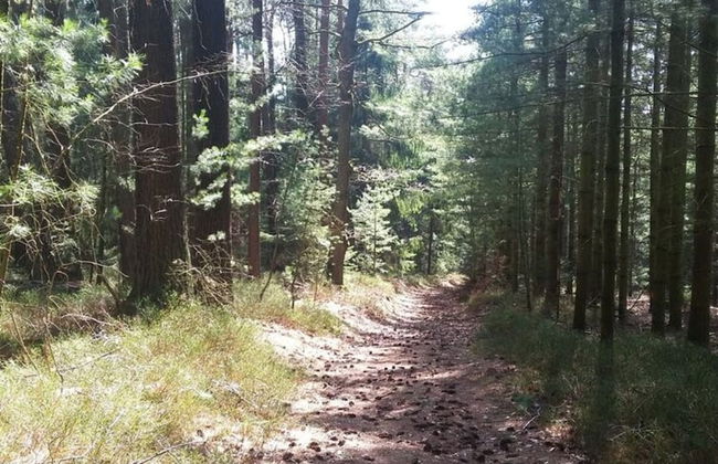 Holiday Apartment Hammergrund - Foto 17