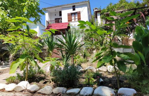 Flower house - Foto 45