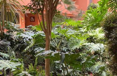 Marbella Cabopino golf and beach only Adults - Photo 25