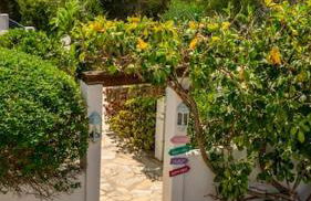 Can Paradís - Foto 34