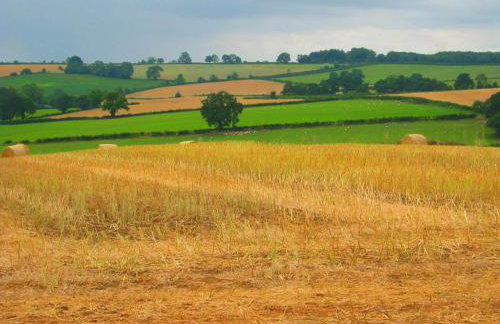 The Stables - Foto 13