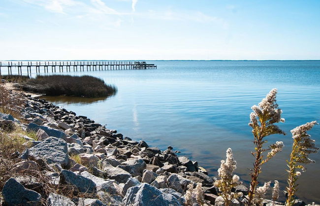 Barrier Island Station - Photo 32