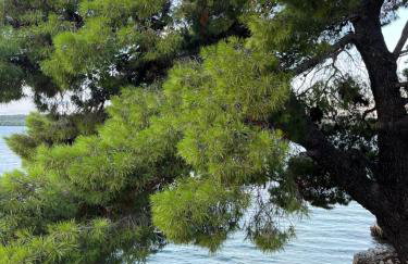 Trogir center exclusive seaview apartment for 4 - Photo 35